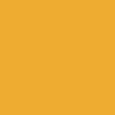 Golden 4" Cove Molding 700 Series