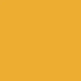 Golden 4" Cove Molding 700 Series