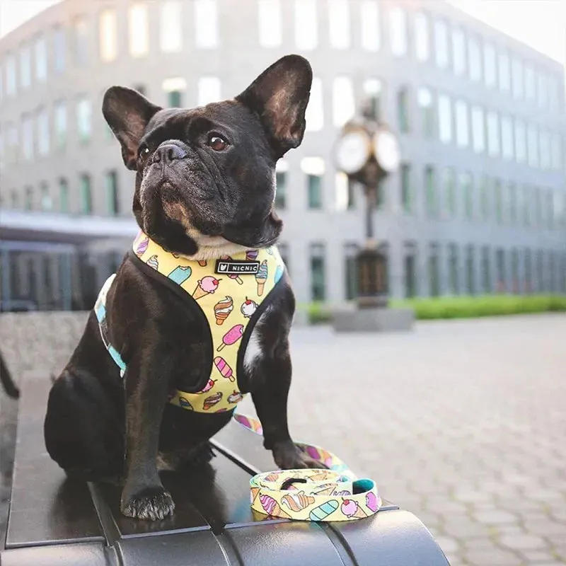 Leash Harness Set For French Bulldogs