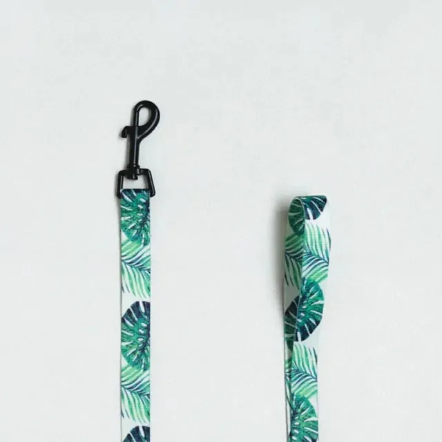 Leash Harness Set For French Bulldogs