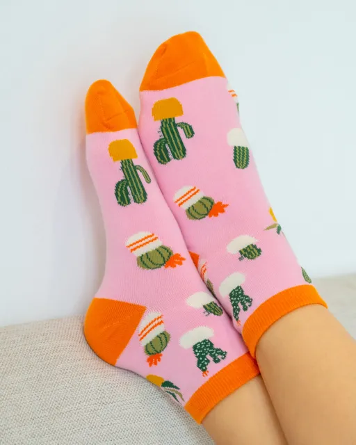 Sockspirations Gift-Ready Socks