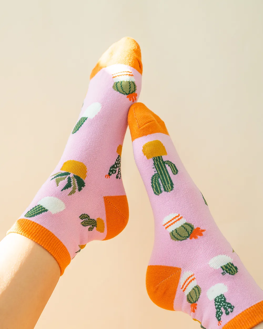 Sockspirations Gift-Ready Socks