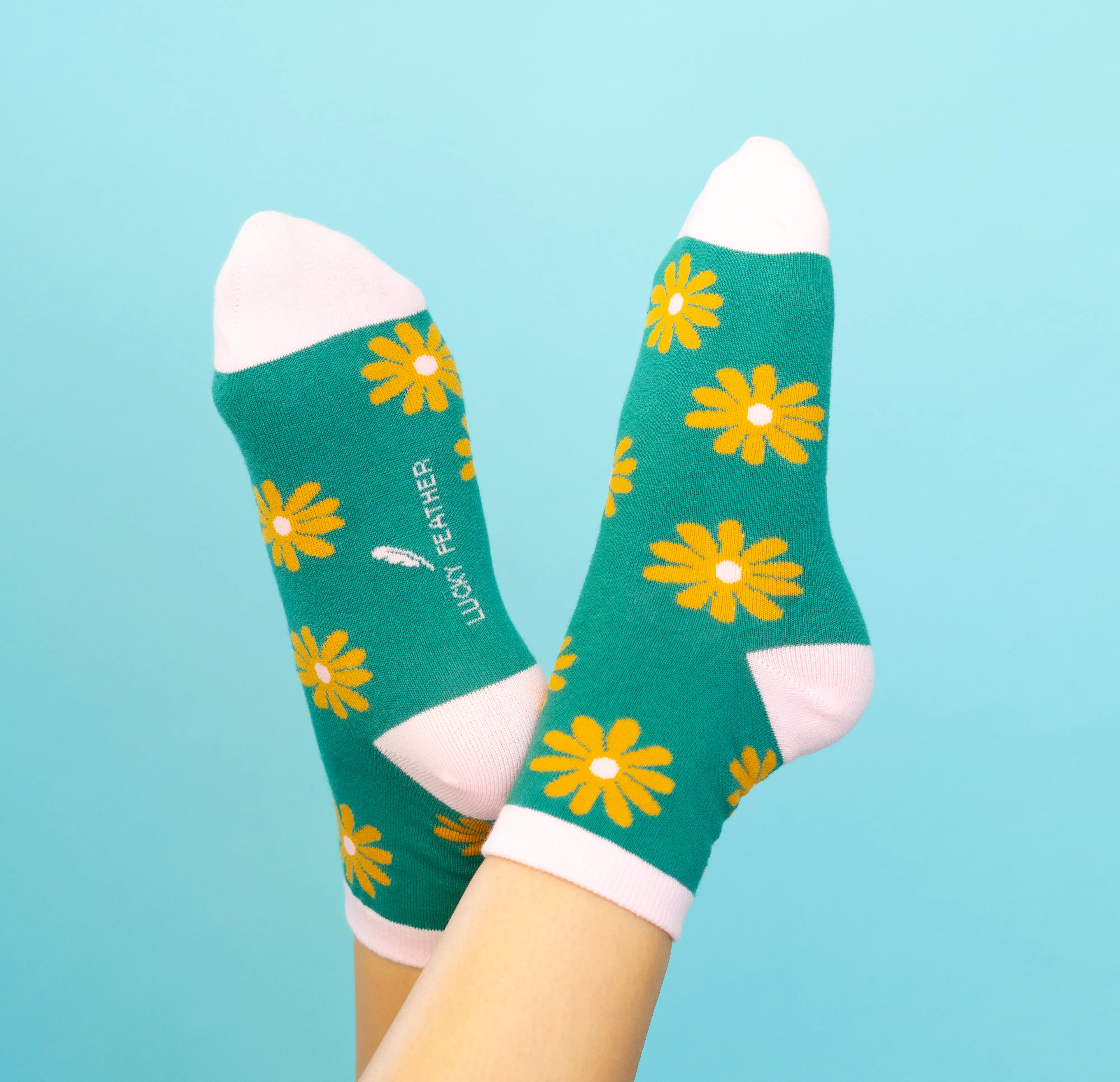 Sockspirations Gift-Ready Socks