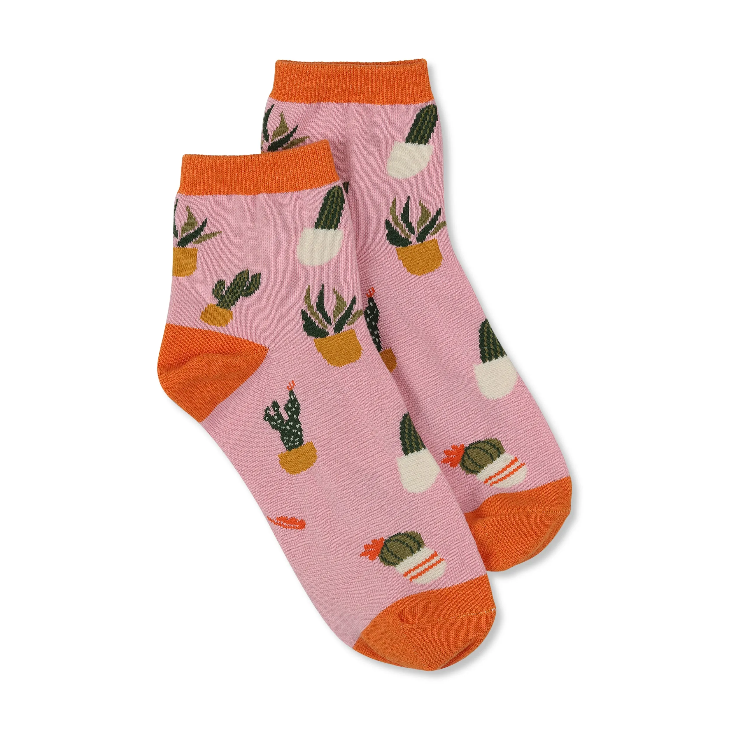 Sockspirations Gift-Ready Socks