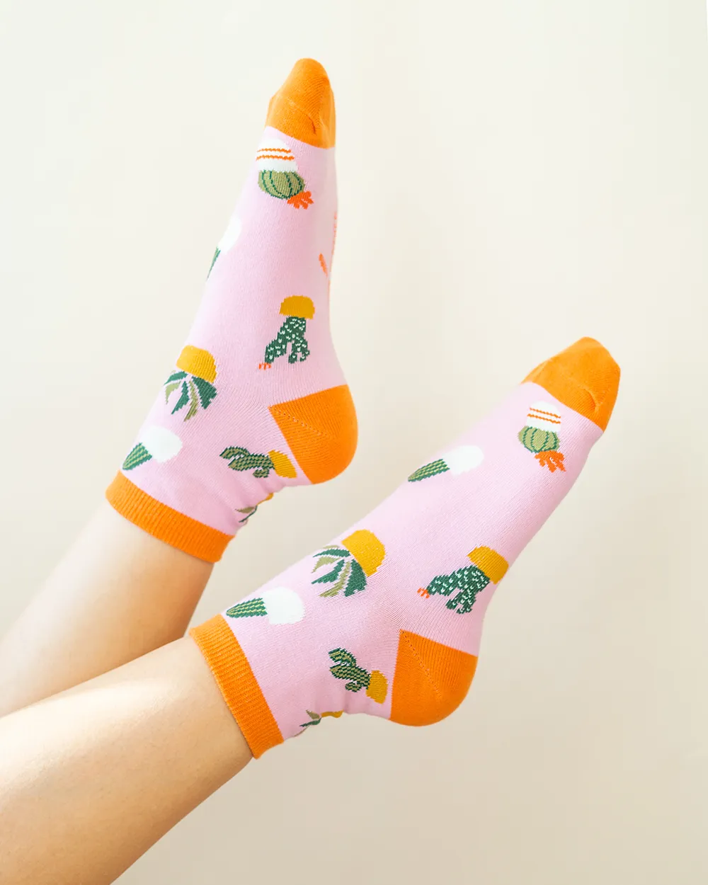 Sockspirations Gift-Ready Socks